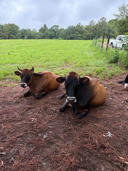 Raw A2 Pet Milk