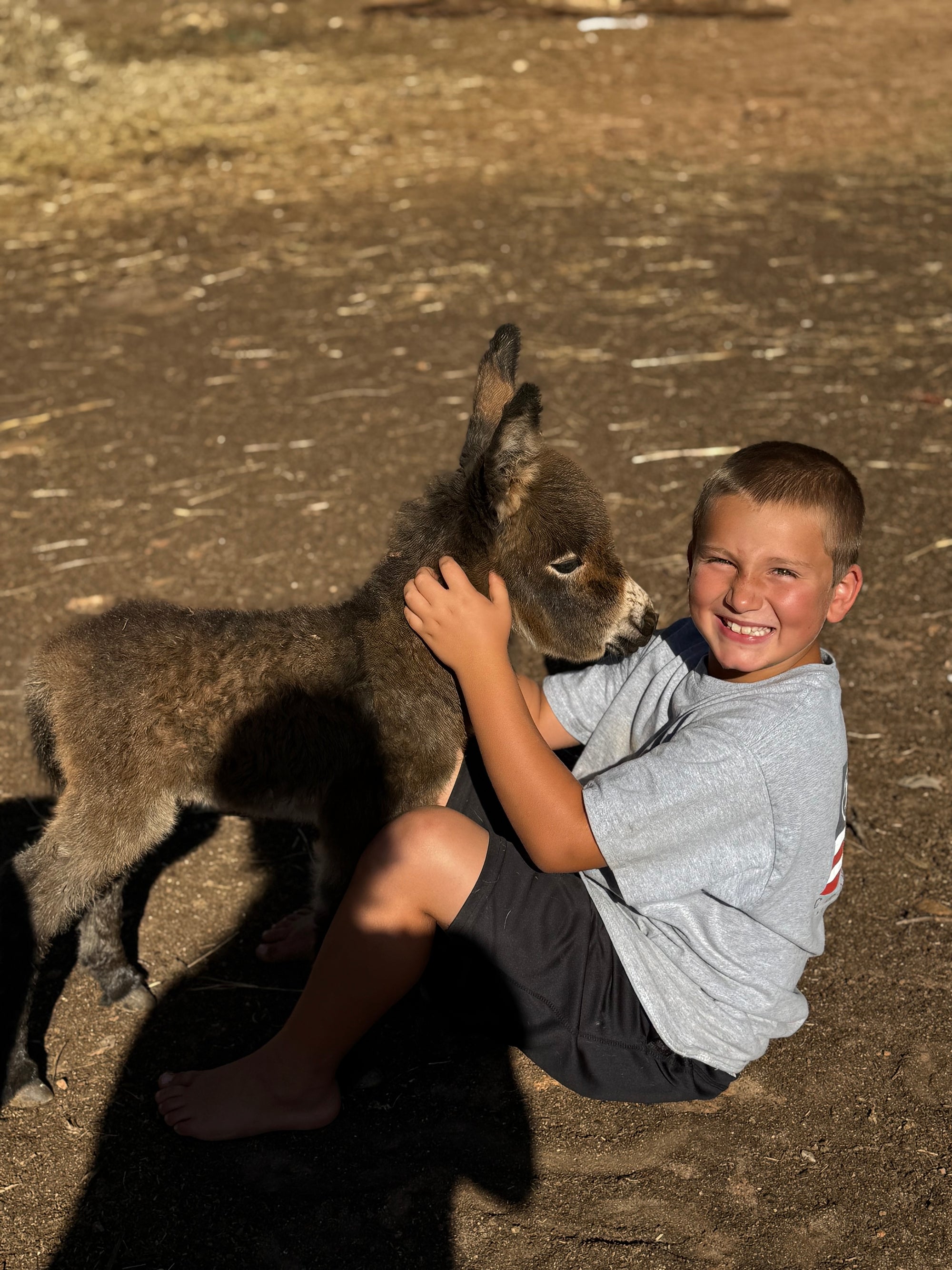 Donkey River Farm in Liberty, South Carolina
