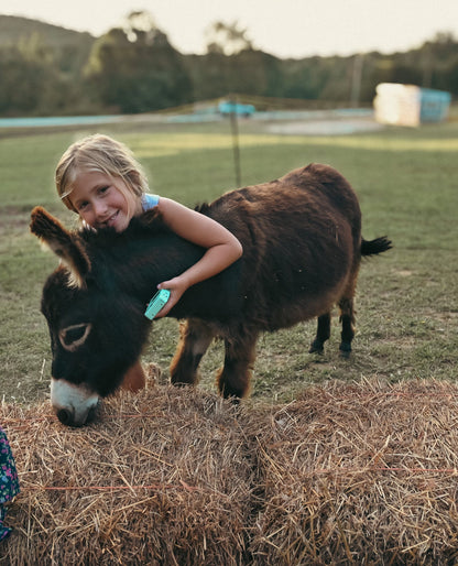 Flannels, Firepits and Farm Animals