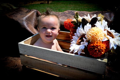 Fall Mini Sessions